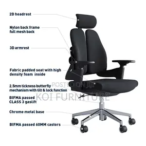Office Chair : Hg12 Dual Orthopedic High-Back Office Chair