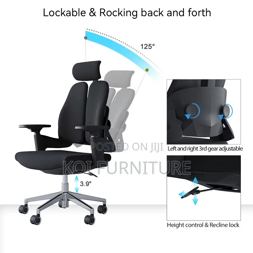 Office Chair : Hg12 Dual Orthopedic High-Back Office Chair