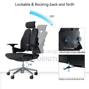 Office Chair : Hg12 Dual Orthopedic High-Back Office Chair