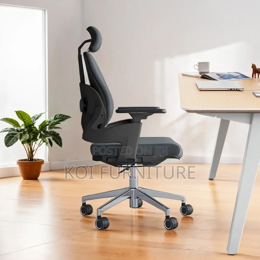 Office Chair : Hg12 Dual Orthopedic High-Back Office Chair