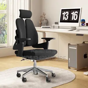 Office Chair : Hg12 Dual Orthopedic High-Back Office Chair