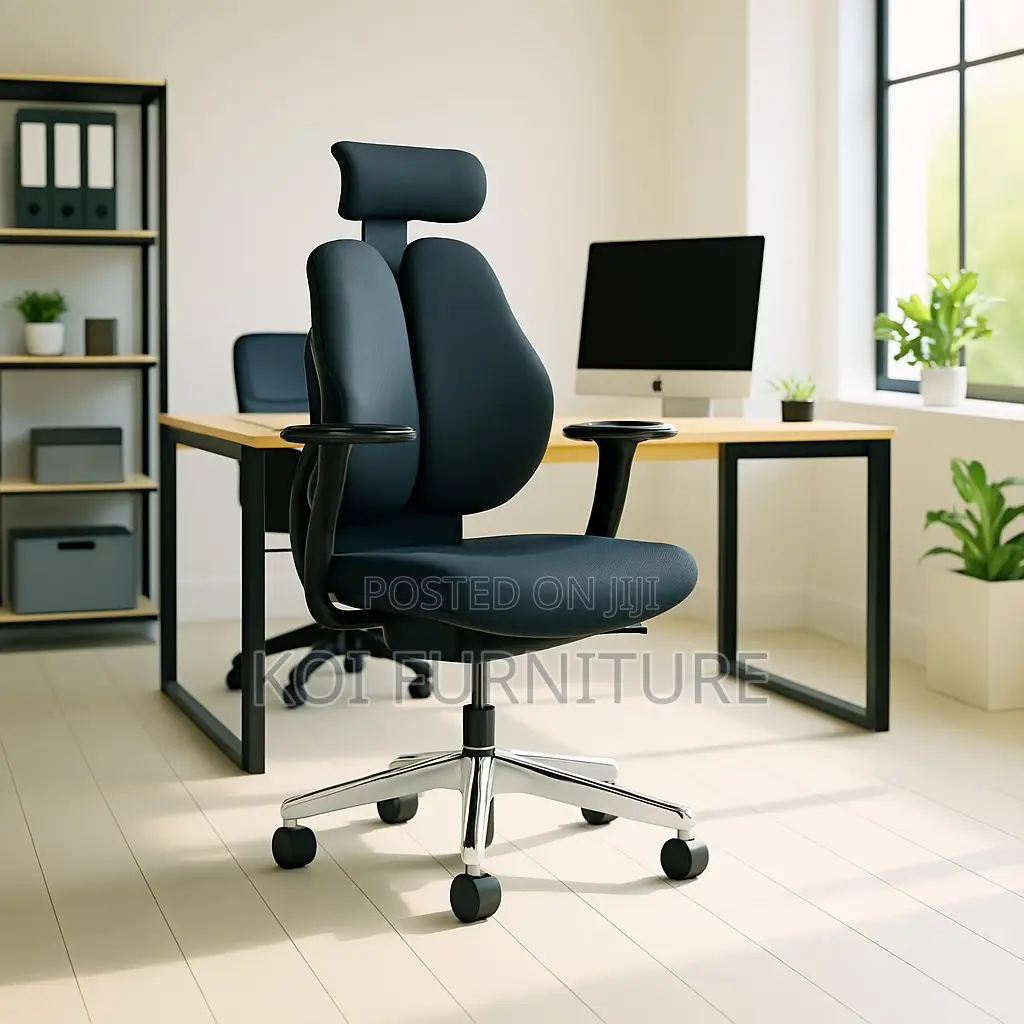 Office Chair : Hg12 Dual Orthopedic High-Back Office Chair