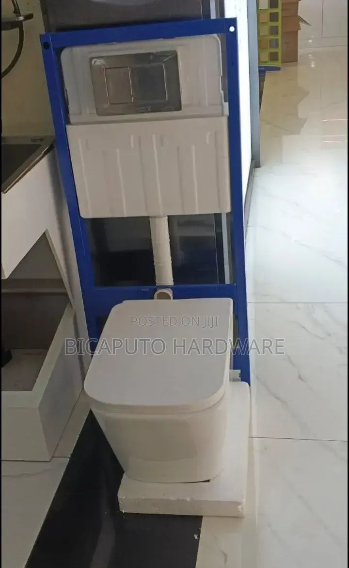 Wall Hung Toilet
