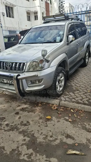 Toyota Land Cruiser Prado 2006 Silver