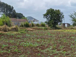 Redhill 1/2acre Residential Plot 400 Metres From Kabuku Tarmac Rd