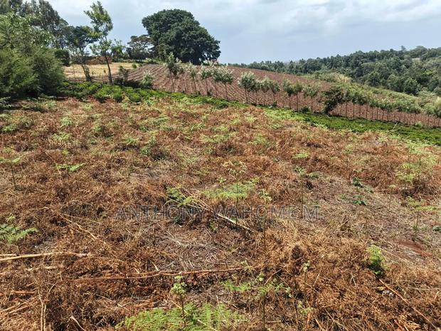 Redhill 1/2acre Residential Plot 400 Metres From Kabuku Tarmac Rd - thumbnail 2