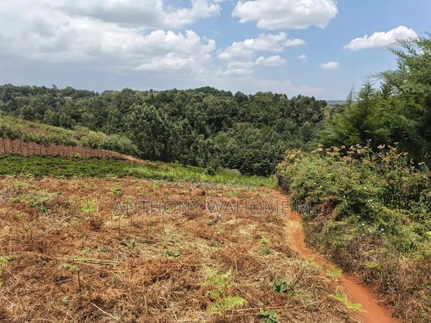 Redhill 1/2acre Residential Plot 400 Metres From Kabuku Tarmac Rd - thumbnail 3