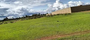 Juja 40x100 Plot 1.3km on Jujafarm -Darasha Rd (Soon to Be Tarmacked),