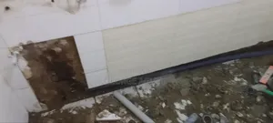 Plumbing Services