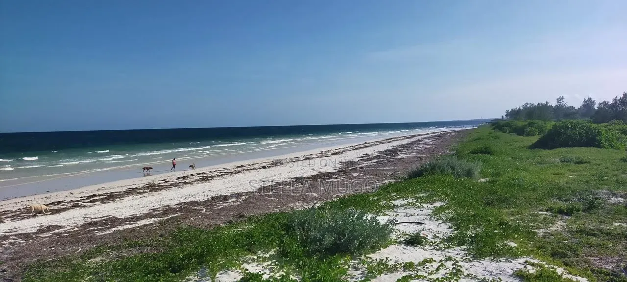 Prime Land Bofa Beachfront Whitesand