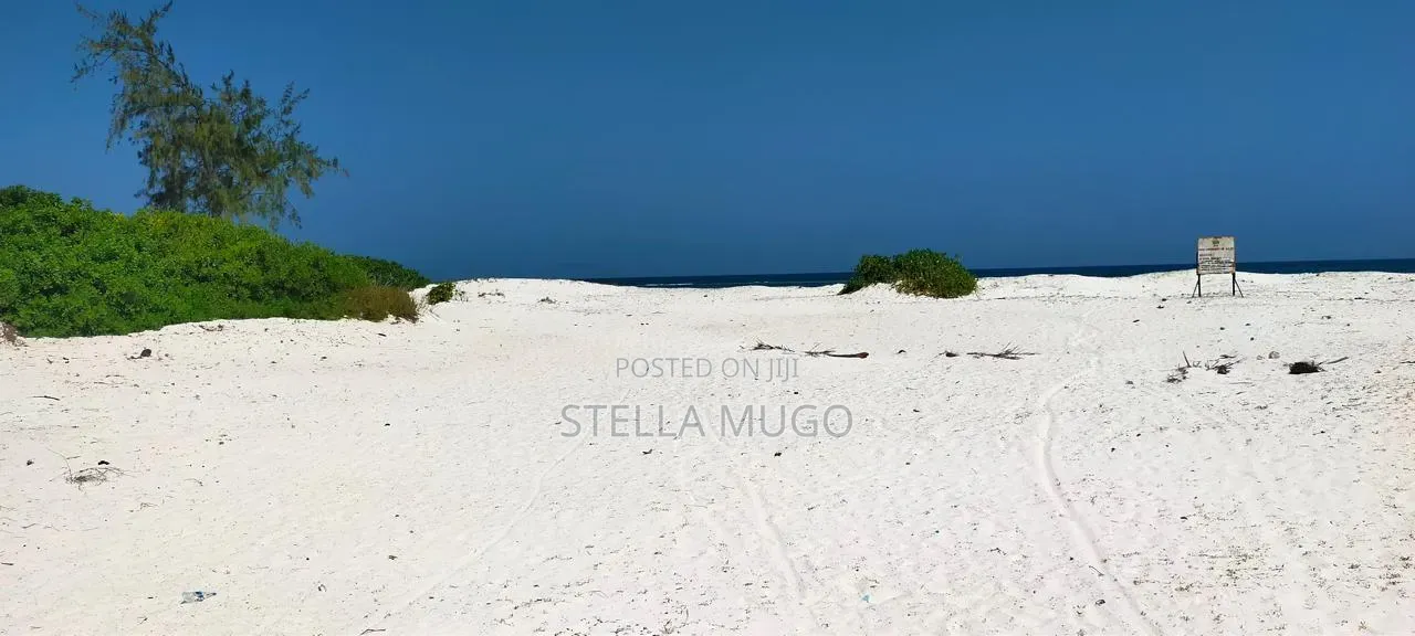 Prime Land Bofa Beachfront Whitesand