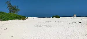 Prime Land Bofa Beachfront Whitesand