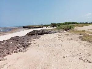 Prime Land Bofa Beachfront Whitesand