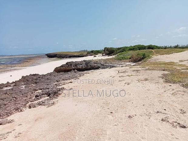 Prime Land Bofa Beachfront Whitesand - thumbnail 4