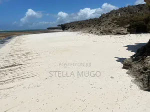 Prime Land Bofa Beachfront Whitesand