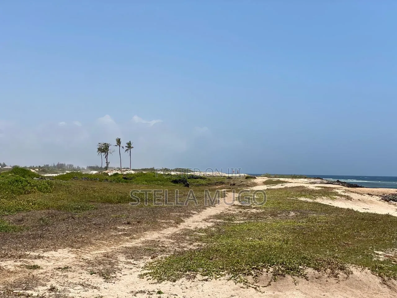 Prime Land Bofa Beachfront Whitesand