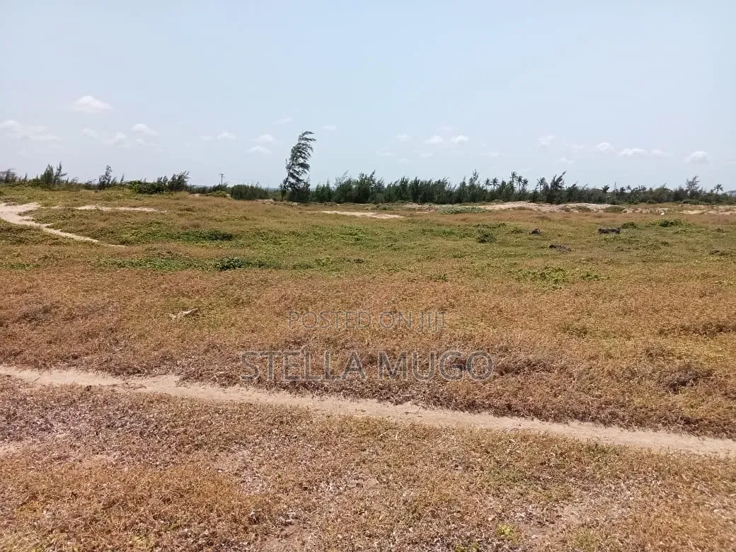 Prime Land Bofa Beachfront Whitesand