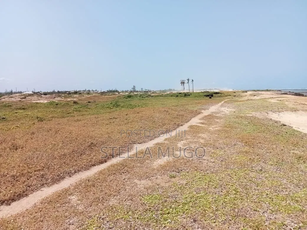 Prime Land Bofa Beachfront Whitesand