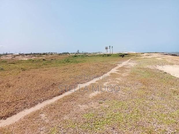 Prime Land Bofa Beachfront Whitesand - thumbnail 11