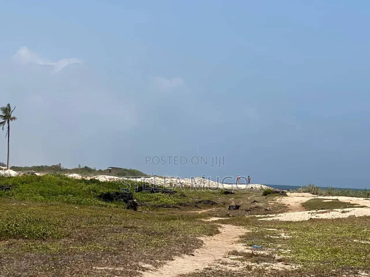 Prime Land Bofa Beachfront Whitesand