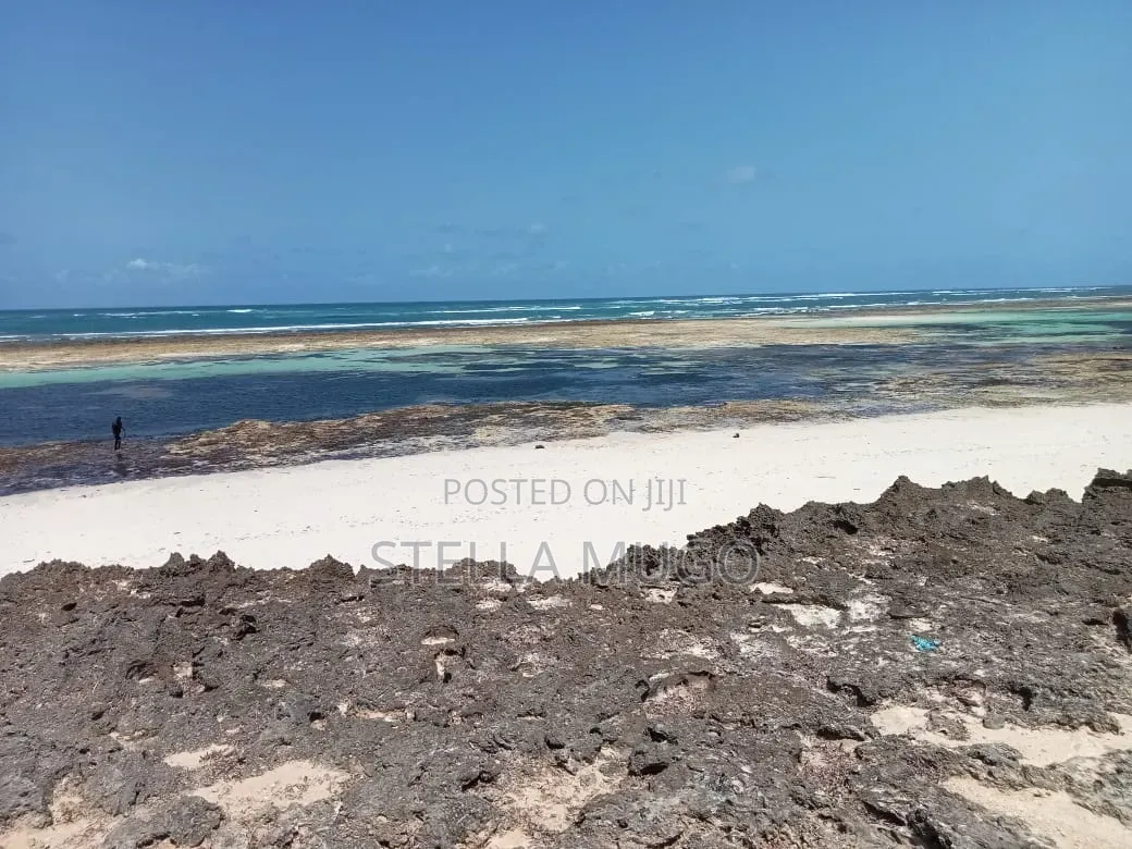 Prime Land Bofa Beachfront Whitesand