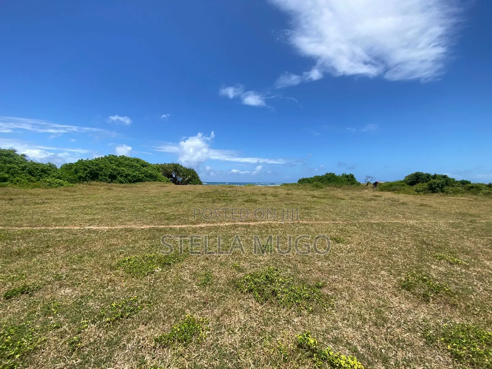 Prime Land Bofa Beachfront Whitesand
