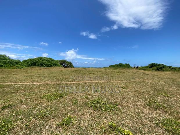 Prime Land Bofa Beachfront Whitesand - thumbnail 14