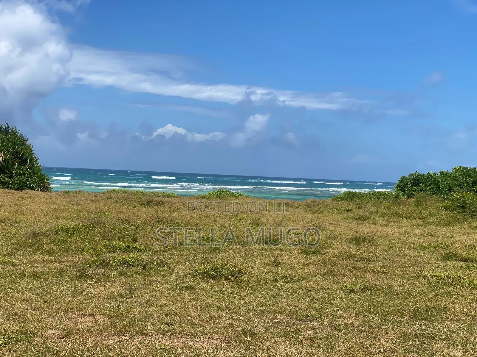 Prime Land Bofa Beachfront Whitesand