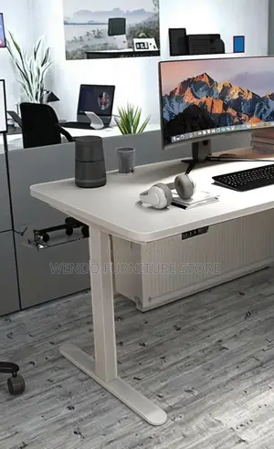 Office Desk; 1.6 Meters Adjustable Home Office Working Electric Desk