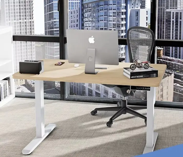 Office Desk; 1.6 Meters Adjustable Home Office Working Electric Desk
