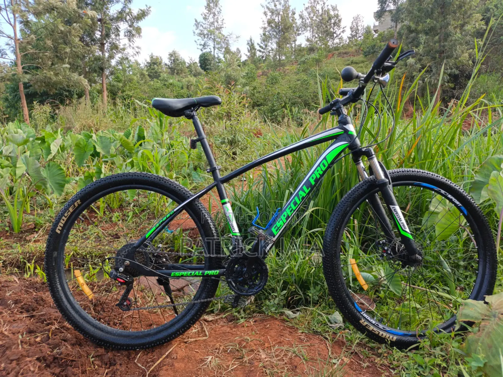 Especial Pro Mountain Bike
