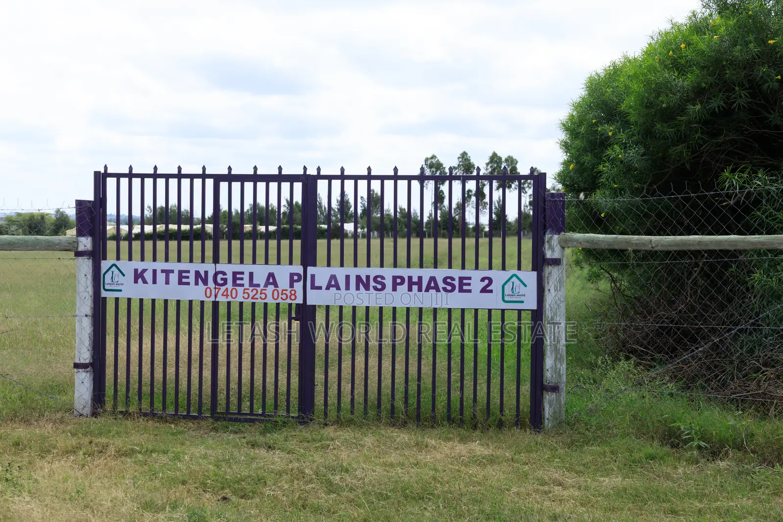 50 by 100 Spacious Plots