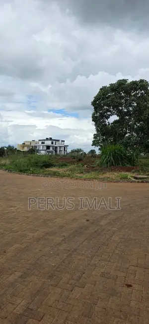 Zaria Village