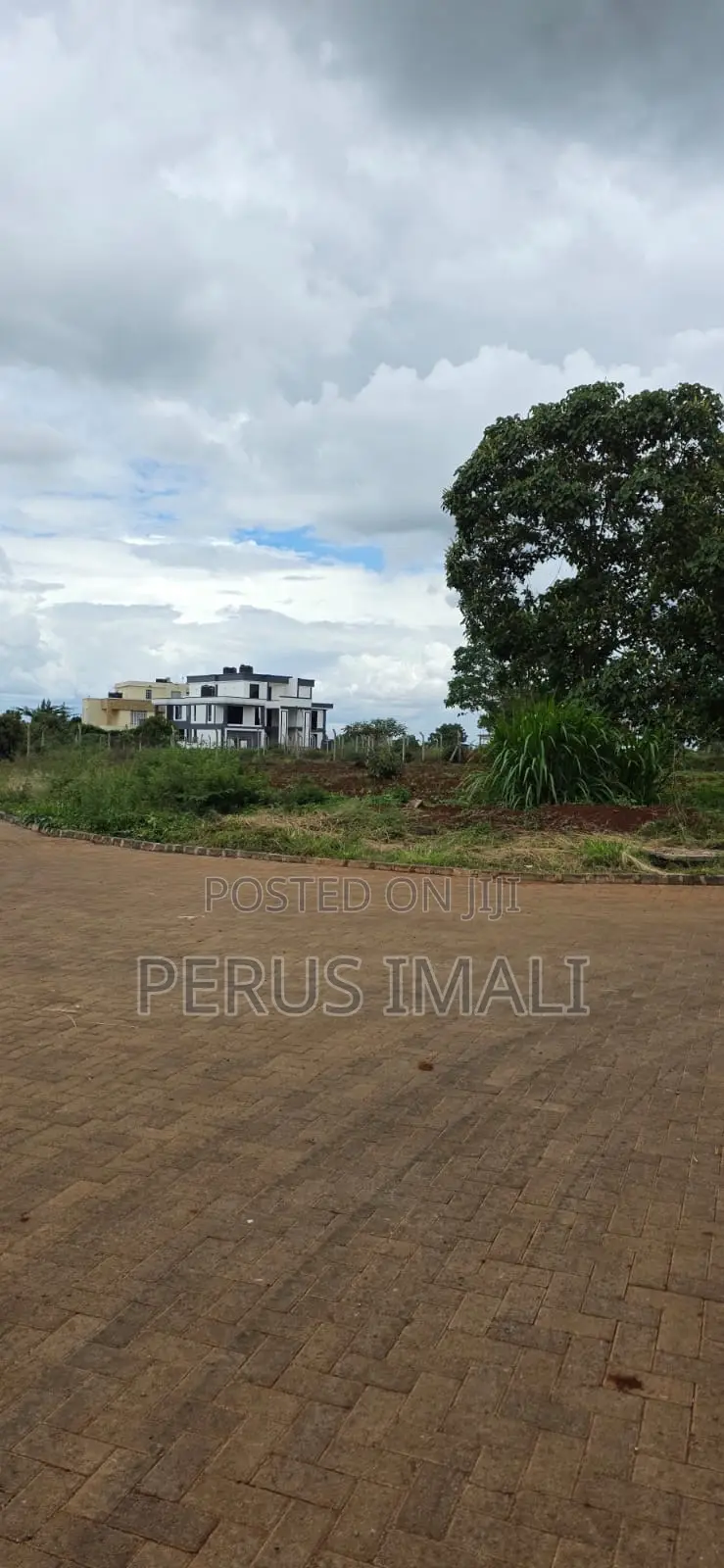 Zaria Village