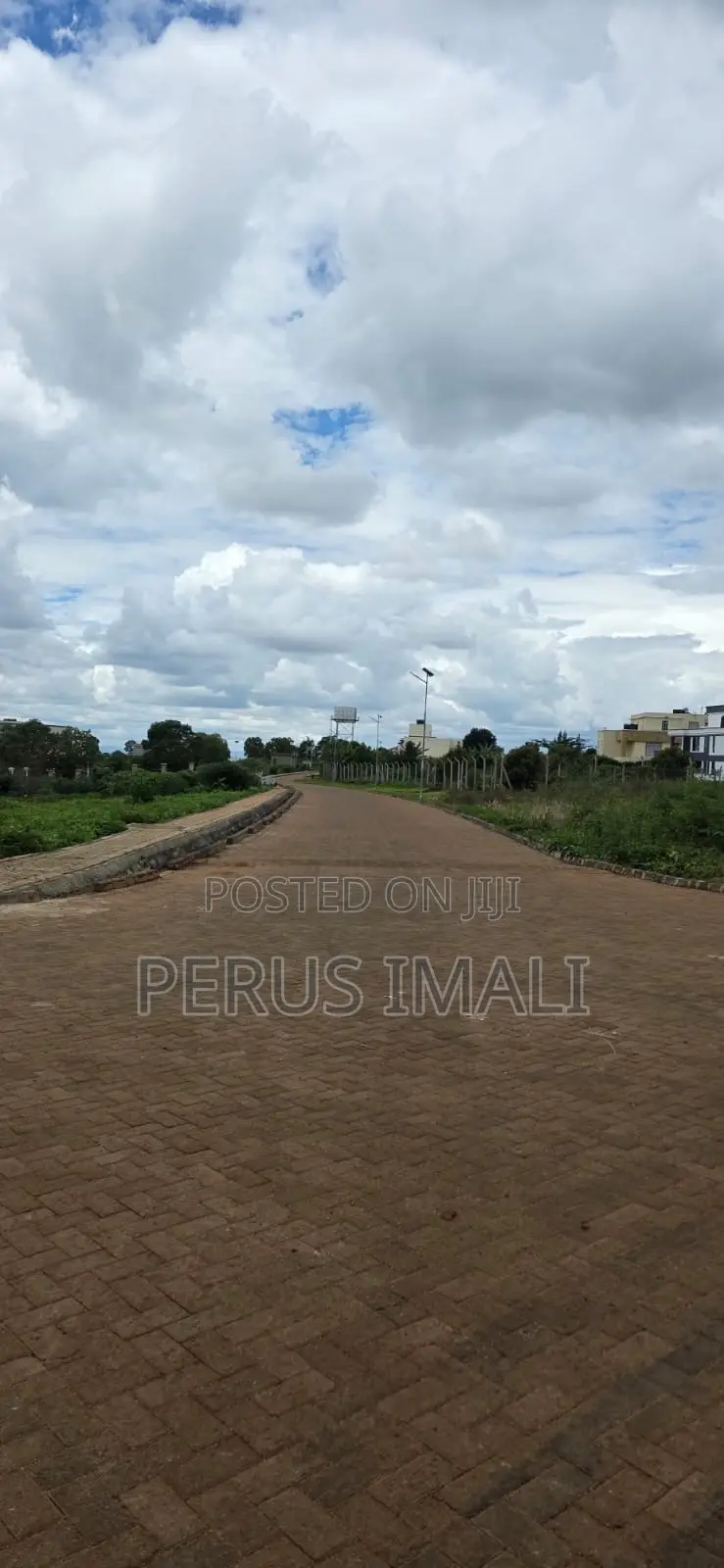 Zaria Village