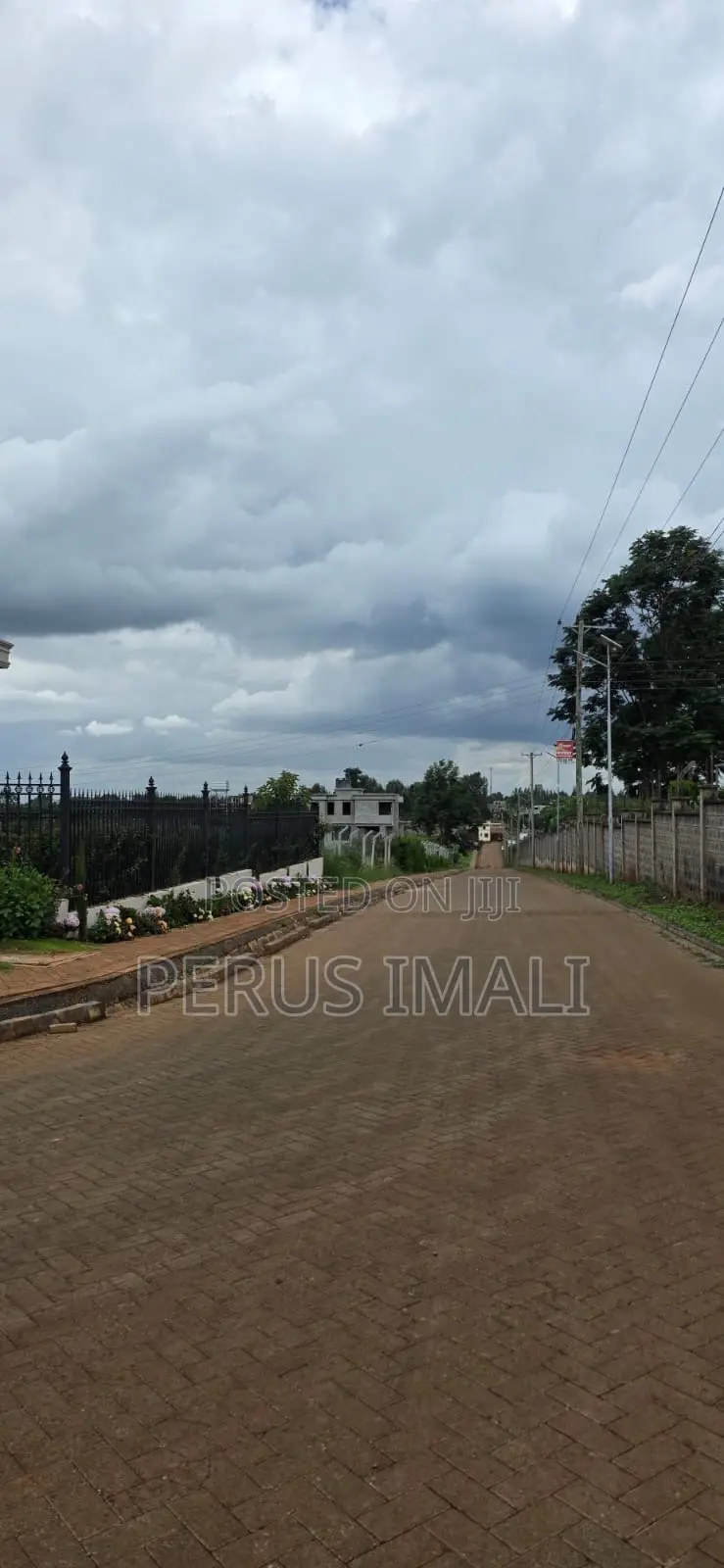 Zaria Village