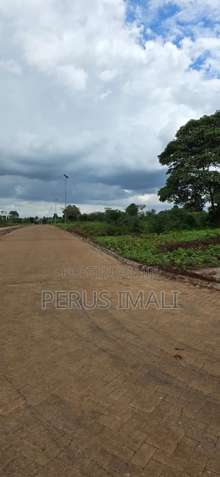 Zaria Village
