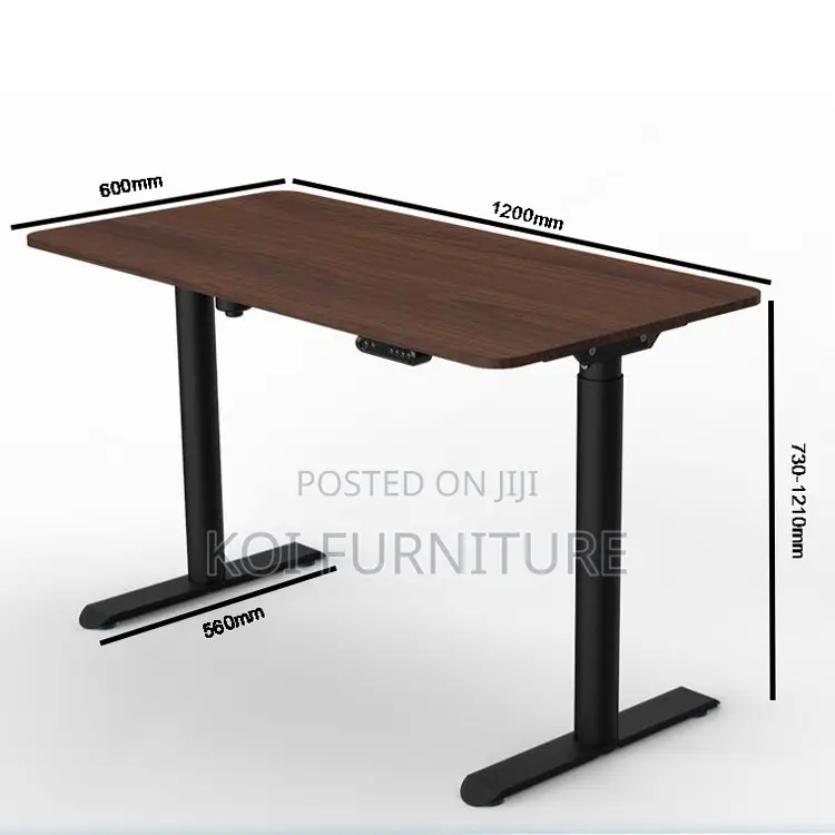 Office Desk; 1.2 Meters Electric Adjustable Sit Stand Flexy Desk