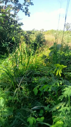 4 Acre Land in Loc20 Mirira