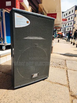 315 Mid-Range Speaker