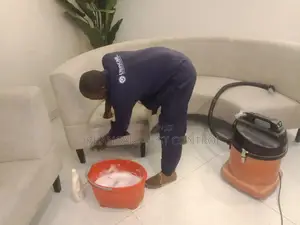 Professional Sofa Cleaning Services