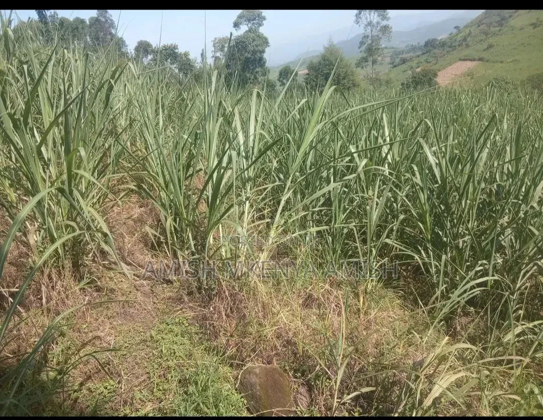 13acres Land