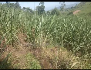 13acres Land