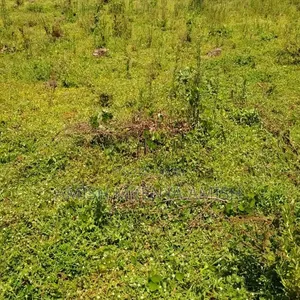 13acres Land
