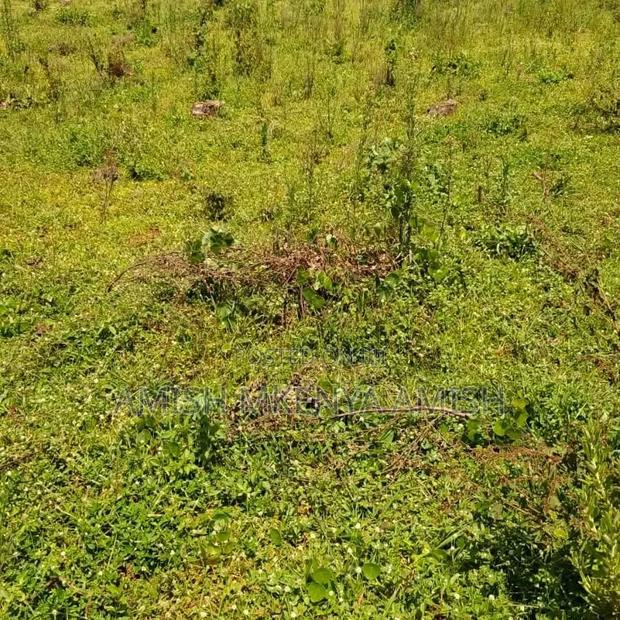 13acres Land - thumbnail 3