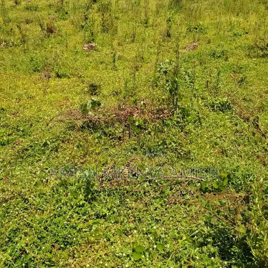 13acres Land