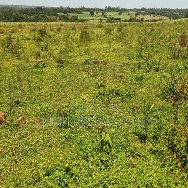 13acres Land - main view