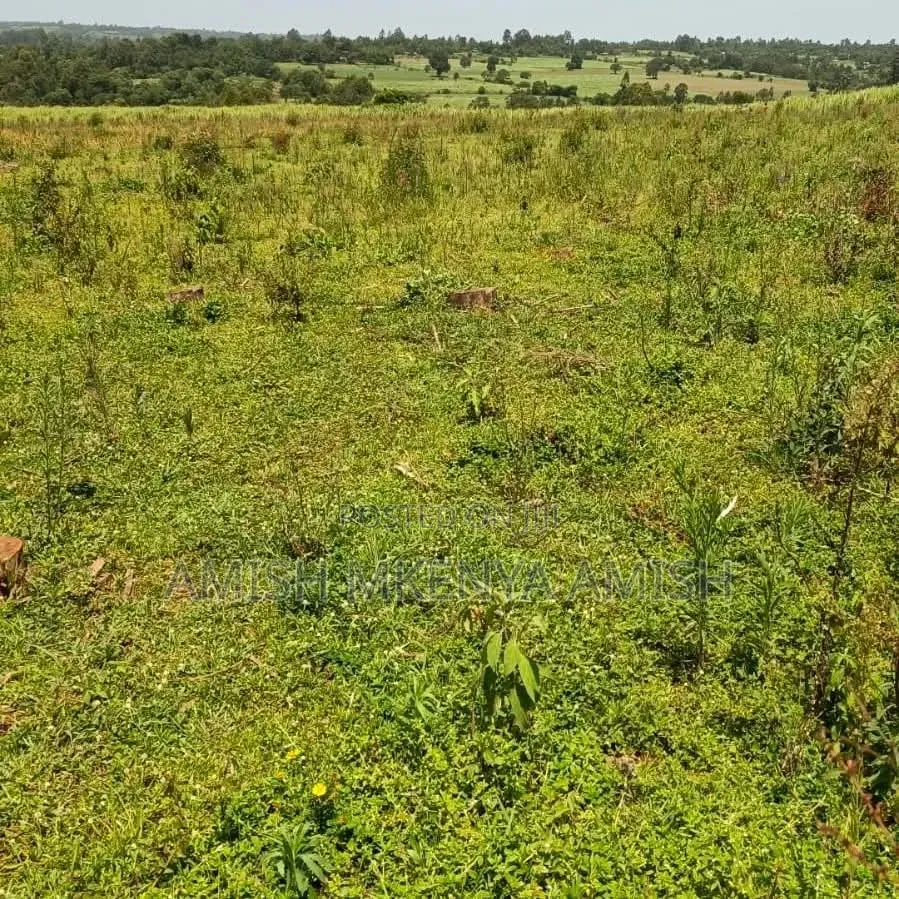 13acres Land