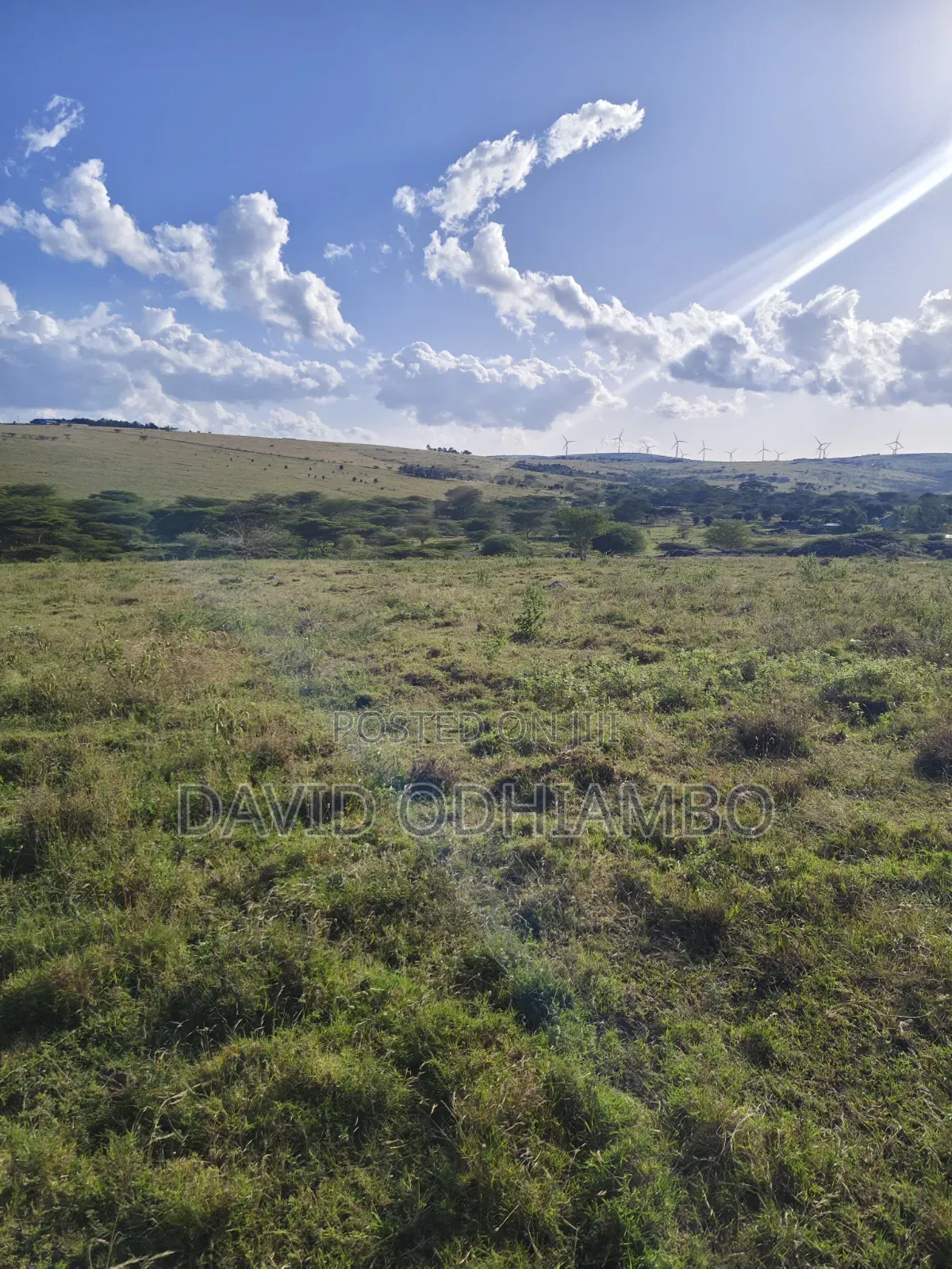 Land and Plots
