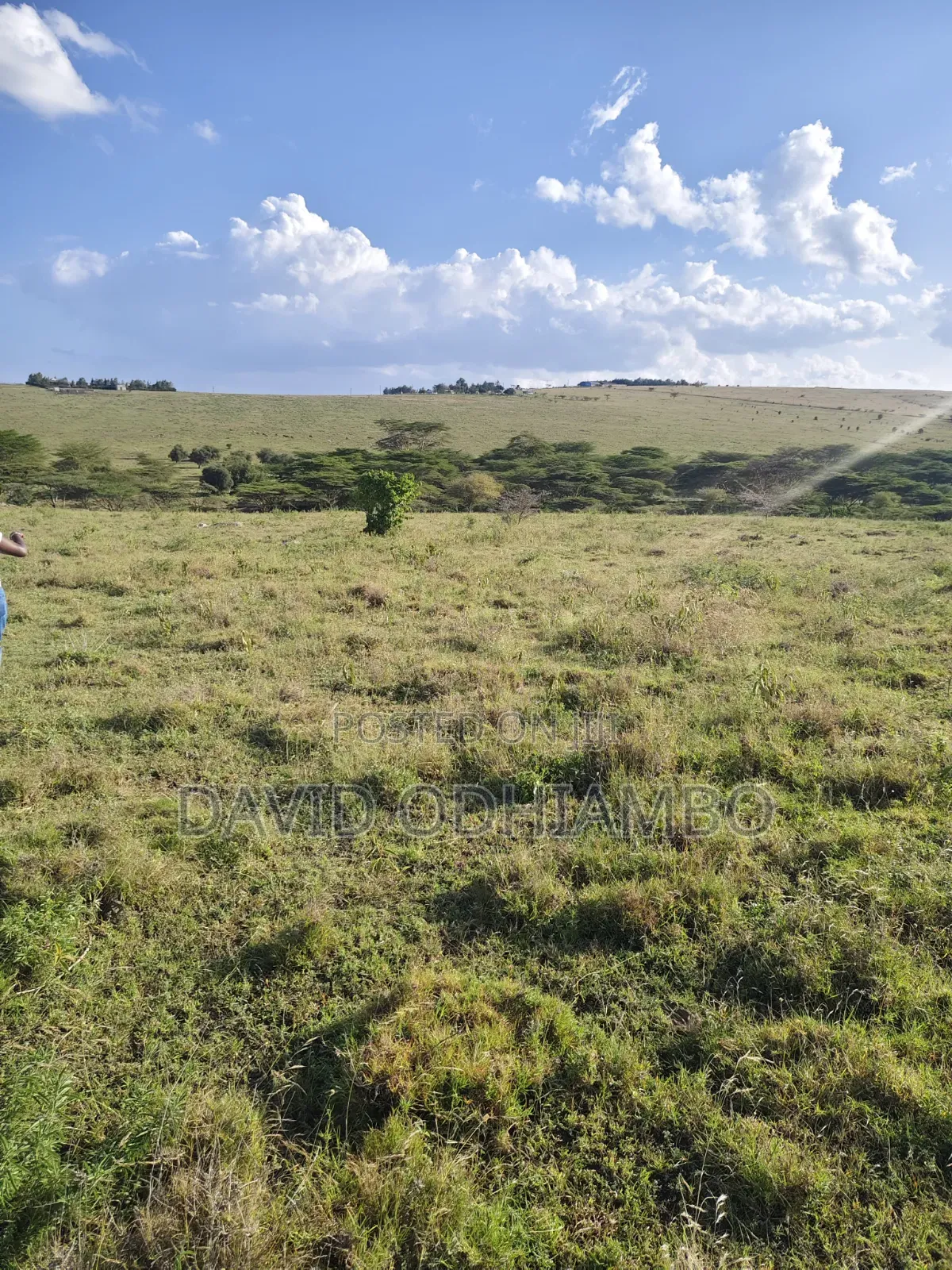 Land and Plots